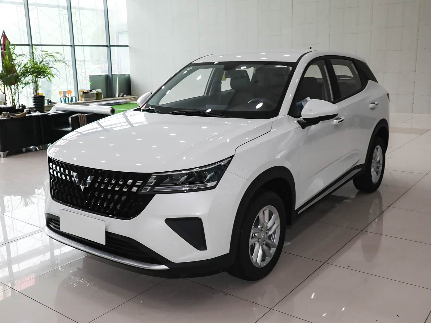 Xingchi 310S